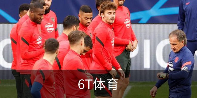 6T体育介绍